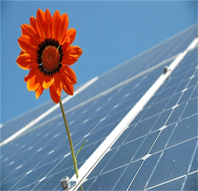 ¿Qué pueden hacer los paneles solares fotovoltaicos 